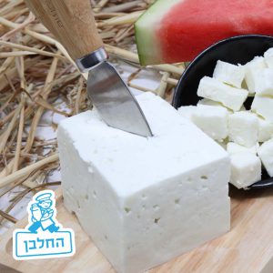 גבינה בולגרית 16 אחוז - גבינות החלבן