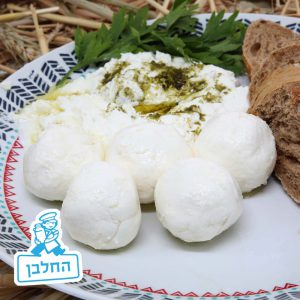 גבינות החלבן - כדורי לאבנה בשמן